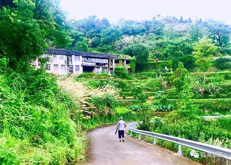 新鲜蔬菜供应，如何才能让城市居民吃得健康？