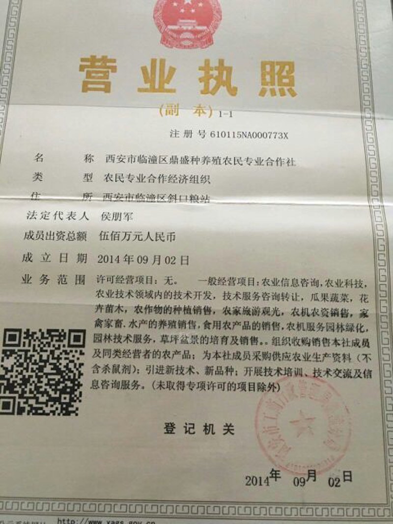 如何确保家庭餐桌上的新鲜蔬菜供应？